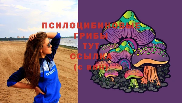 эйфоретик Остров