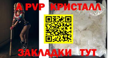 крисы Камышлов