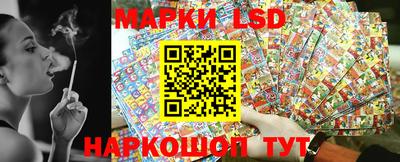 гашик Кандалакша