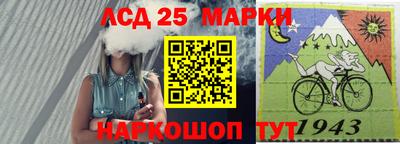 гашик Кандалакша