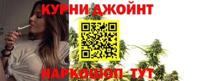 крисы Камышлов