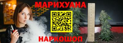 крисы Камышлов