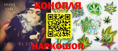 крисы Камышлов