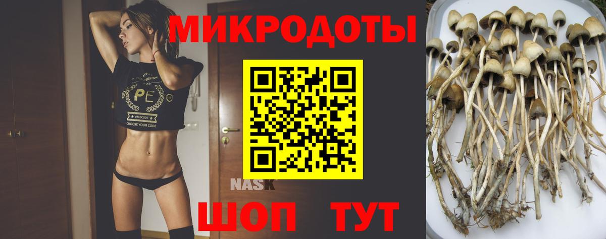 Галлюциногенные грибы Magic Shrooms Реж