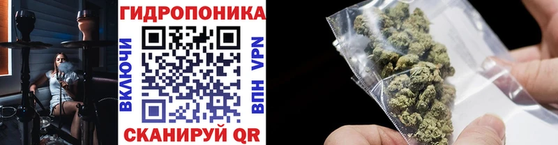 как найти Реж Конопля планчик